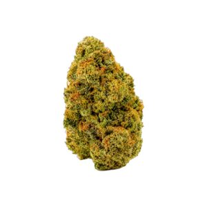 CBD Amnesia Hydro Flower — hemp flower bud, catalog product photo on white background